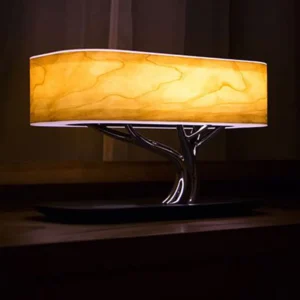 Ambient Light, Wireless charging speaker