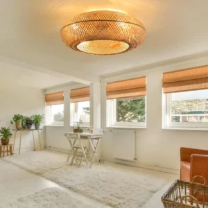 Boho Ceiling Fan 20" Caged Ceiling Fan w/ Light and Remote